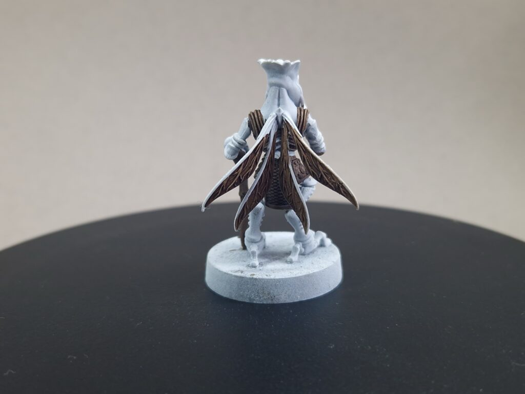 Ailes de Poggle le Bref peintes en Speedpaint Dark Wood, vue de dos